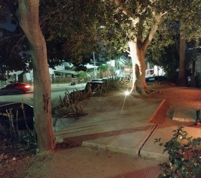 Photo of Others in Pedregal