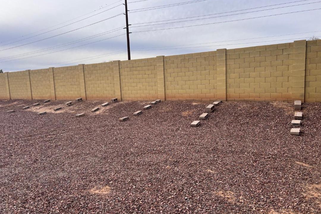 Photo of Others in Palm Valley