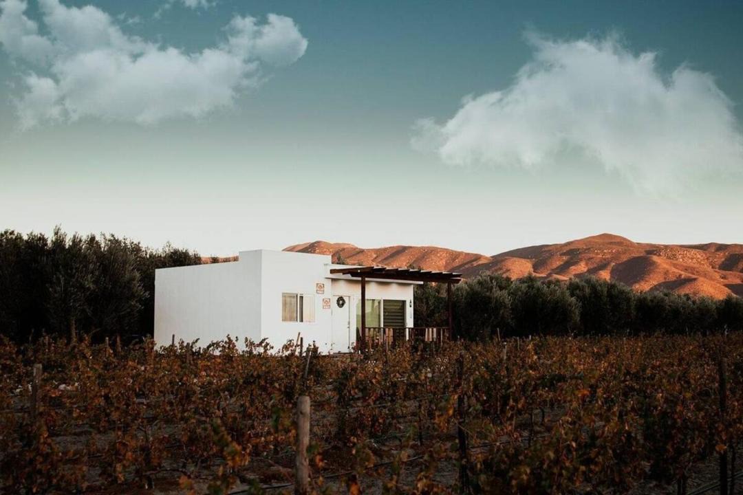Photo of Others in Valle de Guadalupe