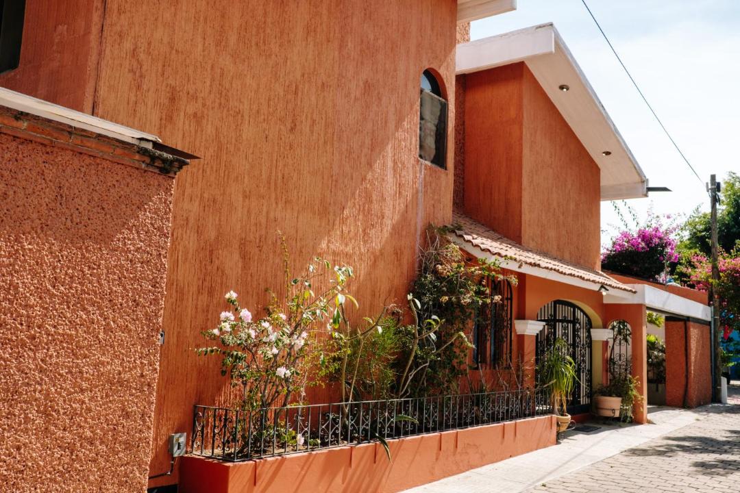 Photo of Others in Barrio de Xochimilco