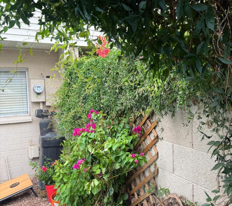 Photo of Others in Casa Granada Townhouses