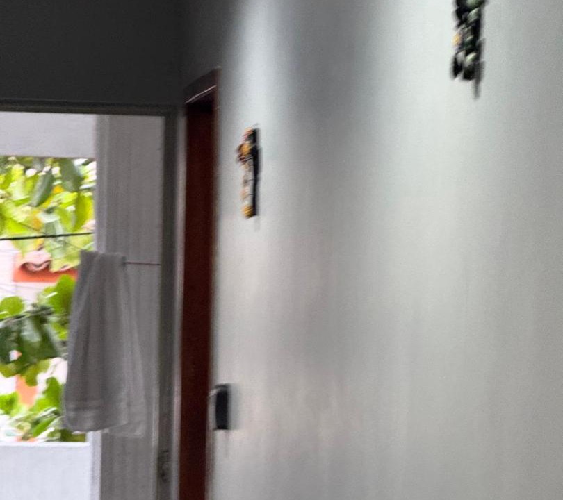 Photo of Others in Colima