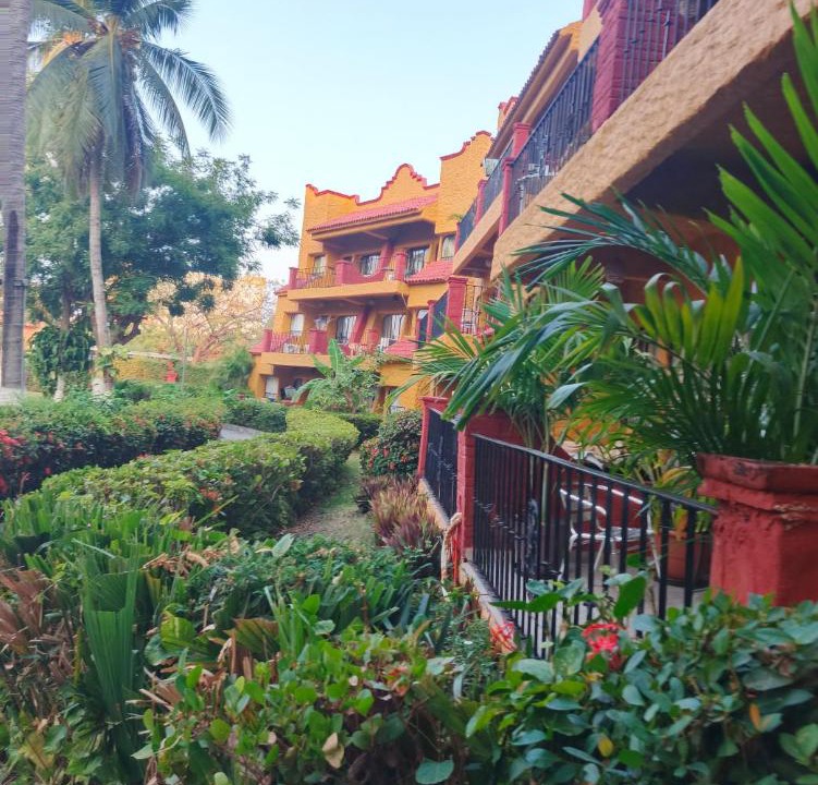 Photo of Others in Ixtapa