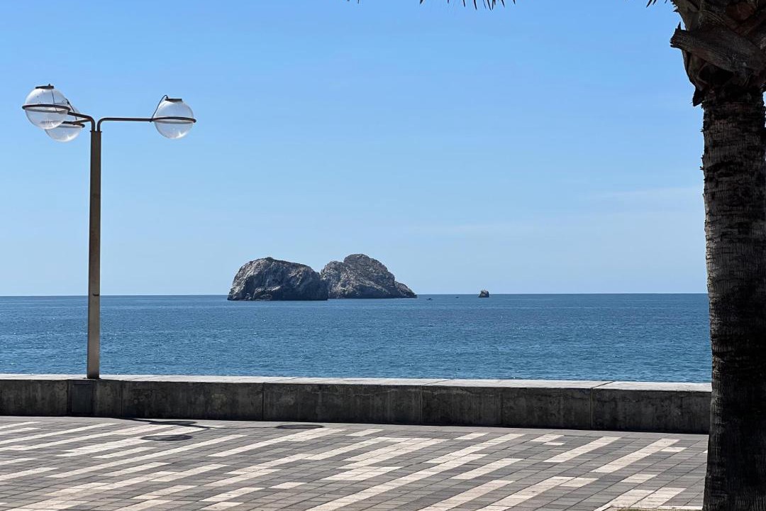 Photo of Others in Downtown Mazatlan