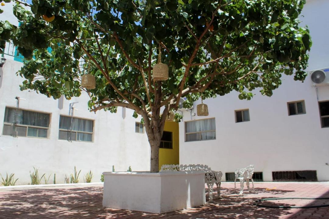 Photo of Others in Torreon