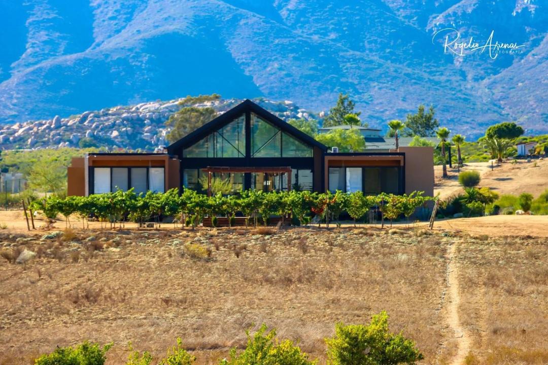 Photo of Others in Valle de Guadalupe