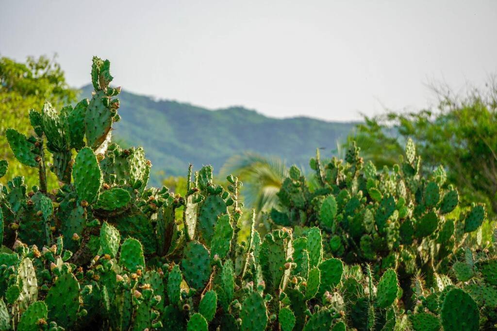 Photo of Others in Barra de Colotepec