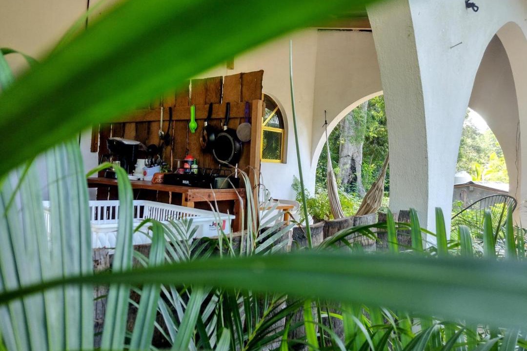 Photo of Others in Troncones