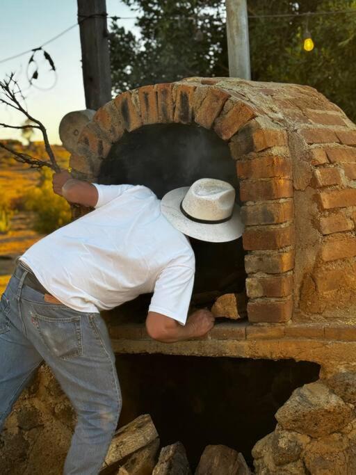 Photo of Others in Valle de Guadalupe