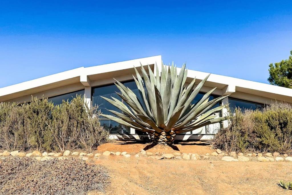 Photo of Others in Valle de Guadalupe