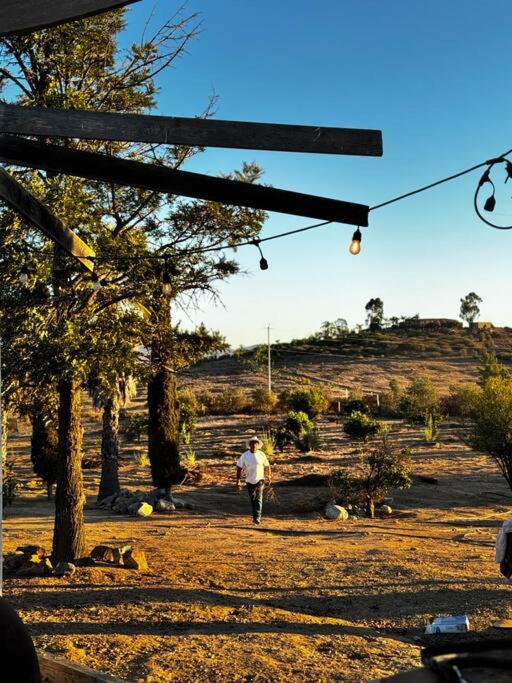 Photo of Others in Valle de Guadalupe
