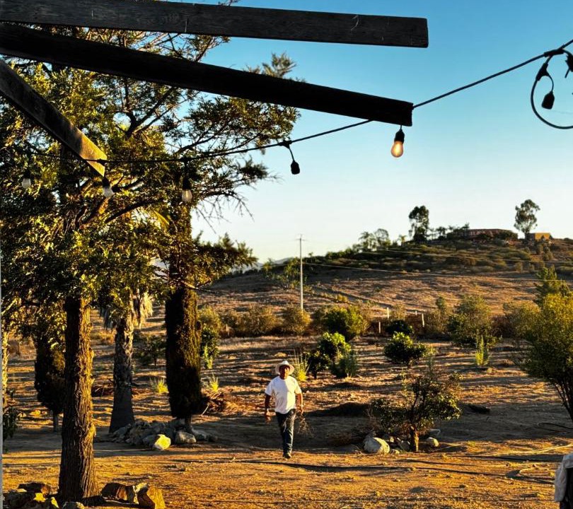 Photo of Others in Valle de Guadalupe