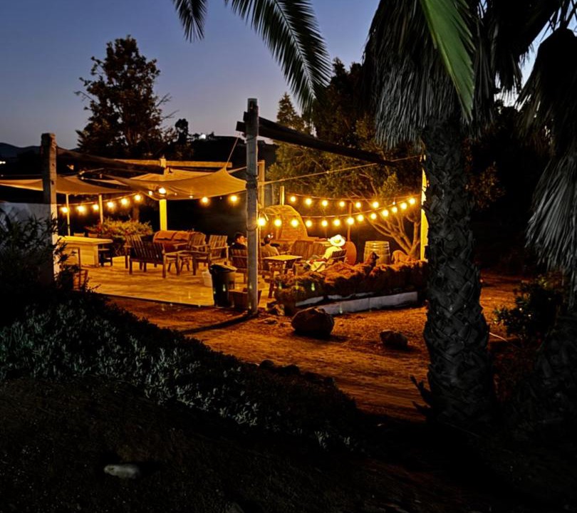 Photo of Others in Valle de Guadalupe