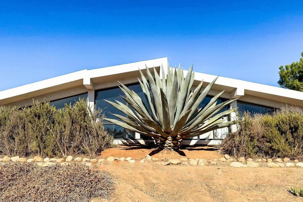 Photo of Others in Valle de Guadalupe