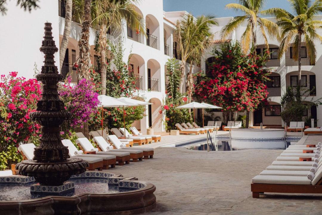 Photo of Others in Downtown San Jose del Cabo