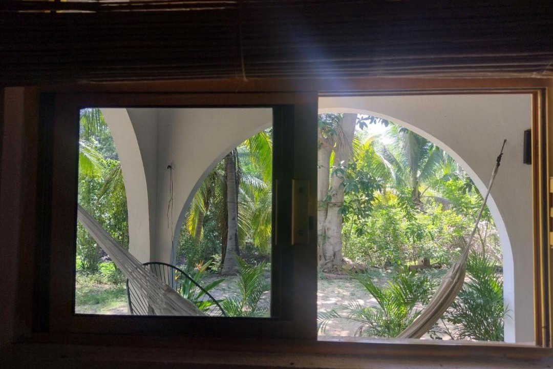 Photo of Others in Troncones