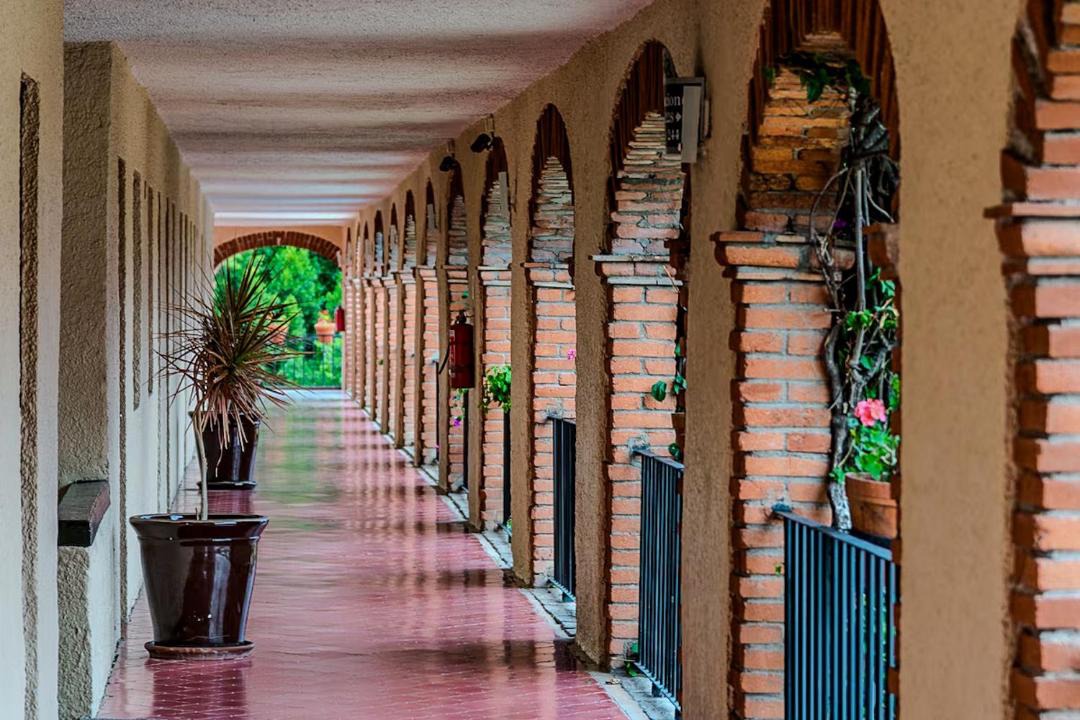 Photo of Others in Guanajuato
