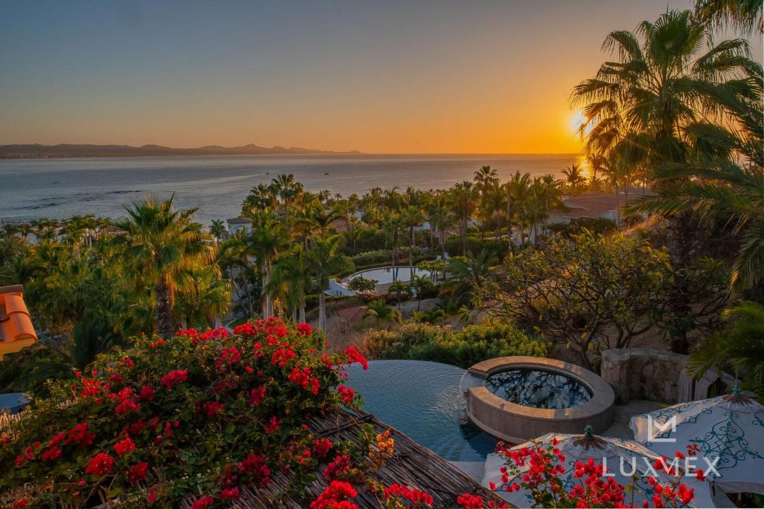 Photo of Others in Palmilla
