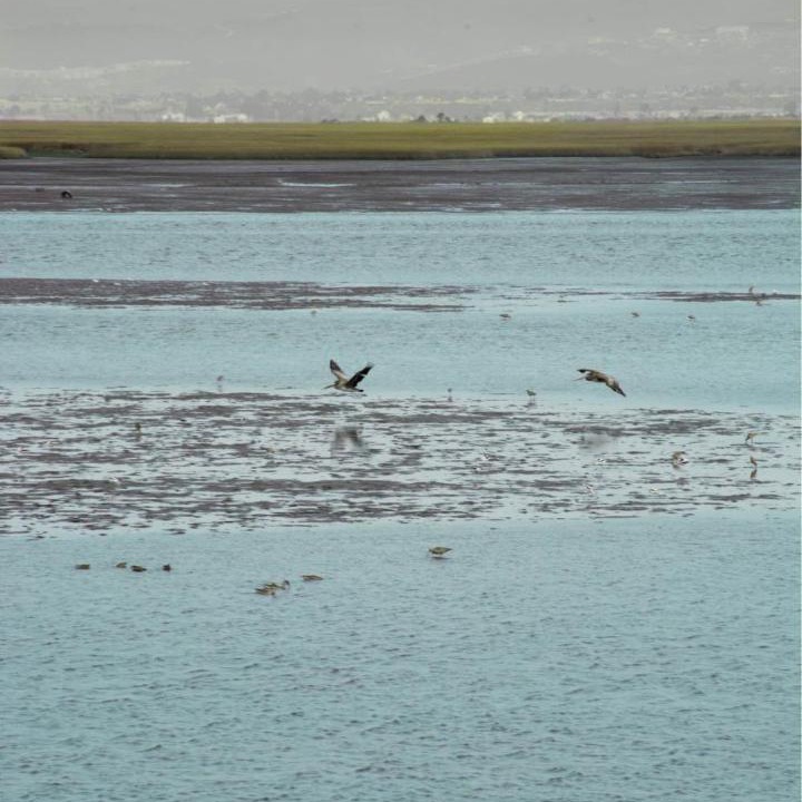 Photo of Others in Ensenada