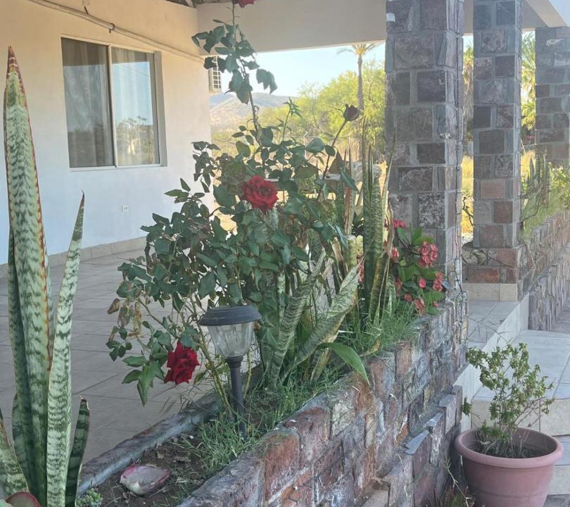 Photo of Others in Mulege