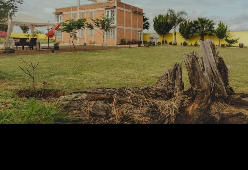 Photo of Others in San Bartolo Coyotepec
