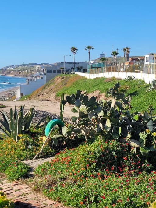 Photo of Others in San Antonio del Mar