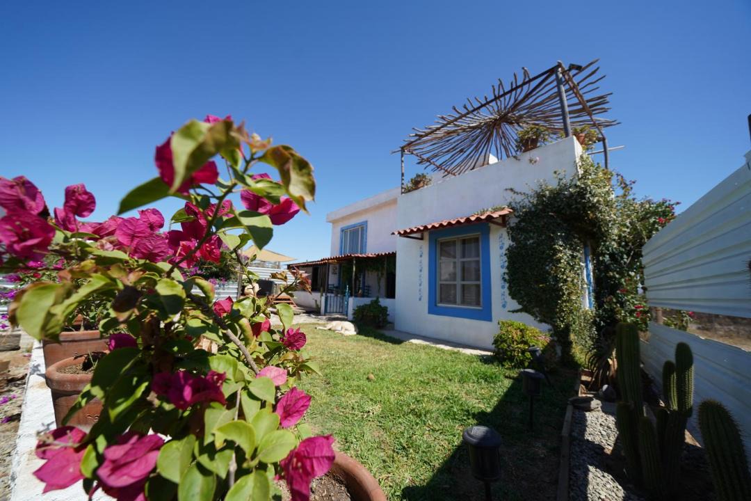 Photo of Others in Valle de Guadalupe