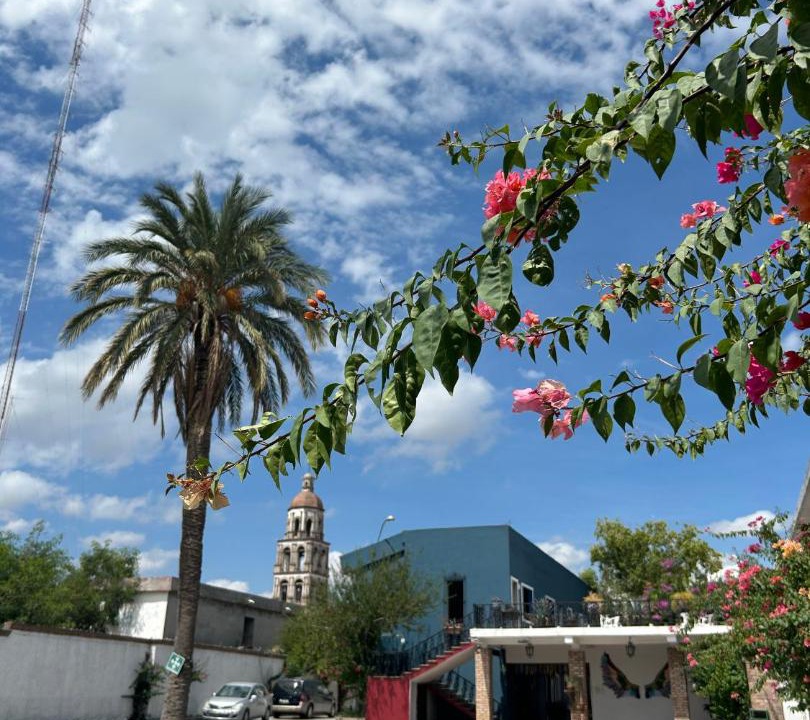 Photo of Others in Monclova