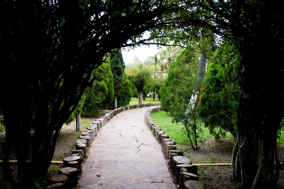 Photo of Others in San Isidro del Llanito