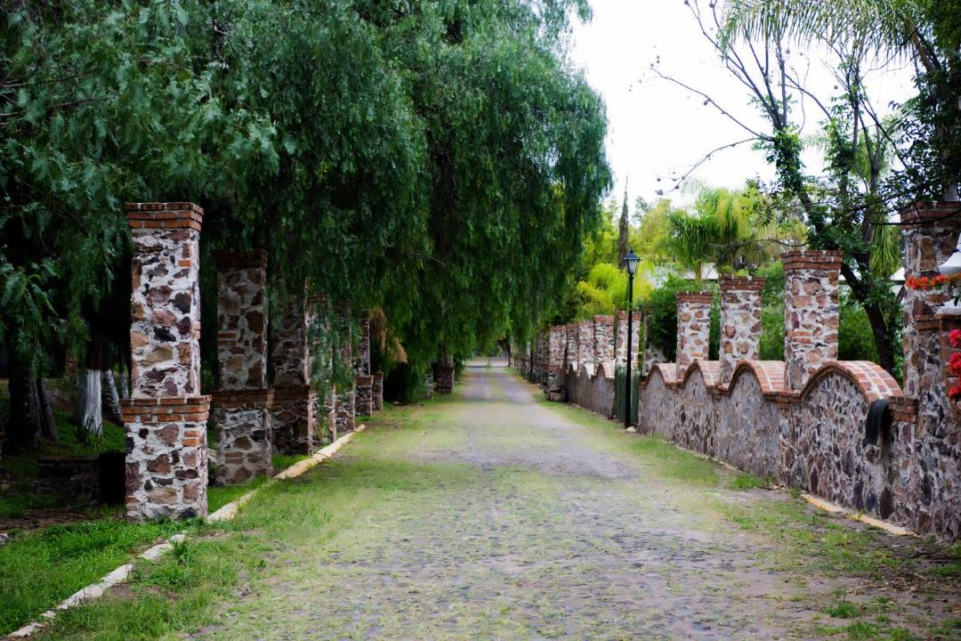 Photo of Others in San Isidro del Llanito