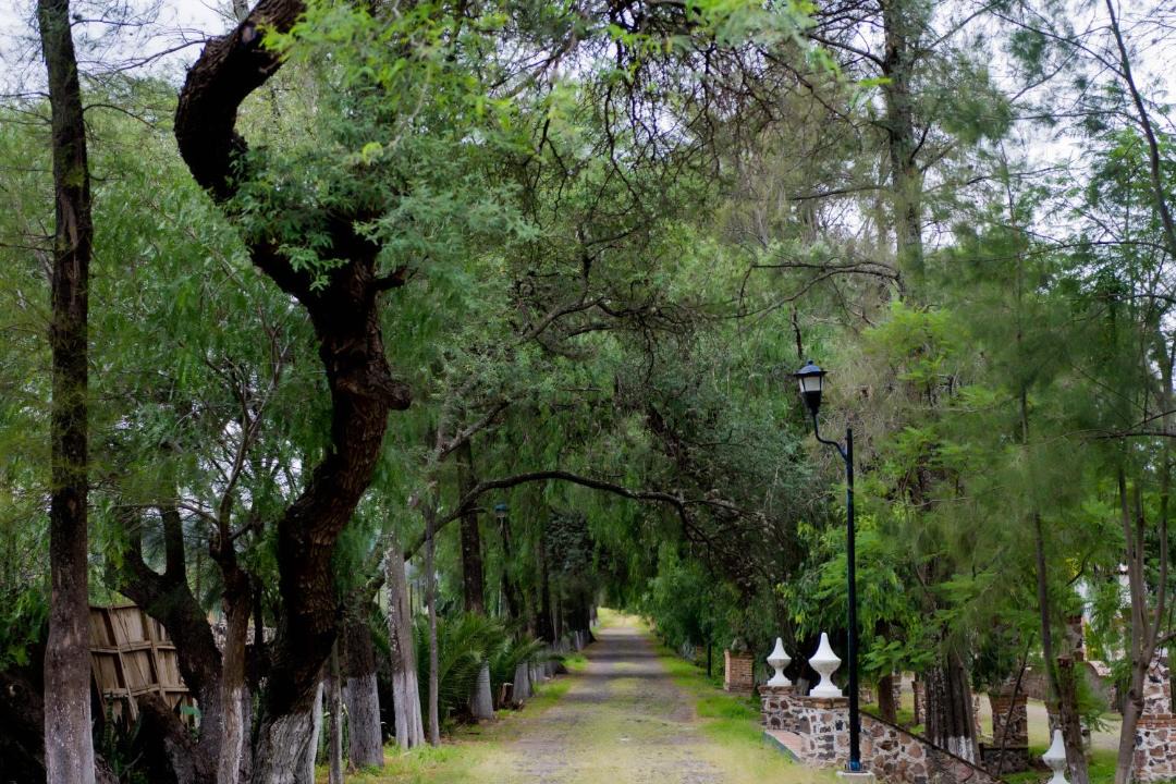 Photo of Others in San Isidro del Llanito