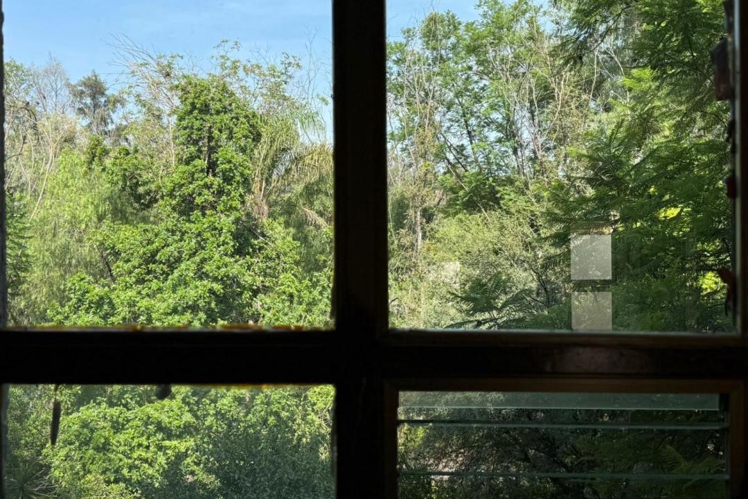 Photo of Others in San Isidro del Llanito