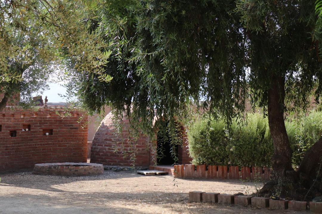 Photo of Others in Valle de Guadalupe