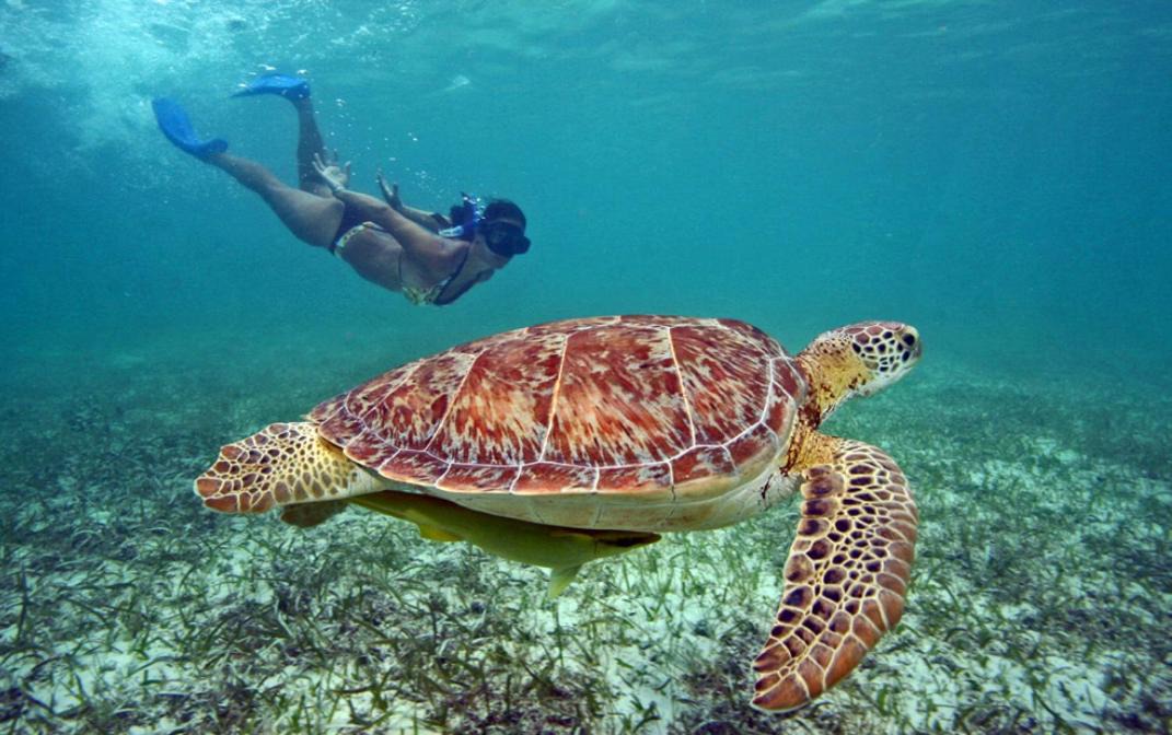 Photo of Others in Downtown Cancun
