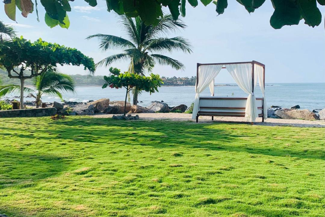 Photo of Others in Troncones