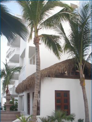 Photo of Others in San Jose del Cabo
