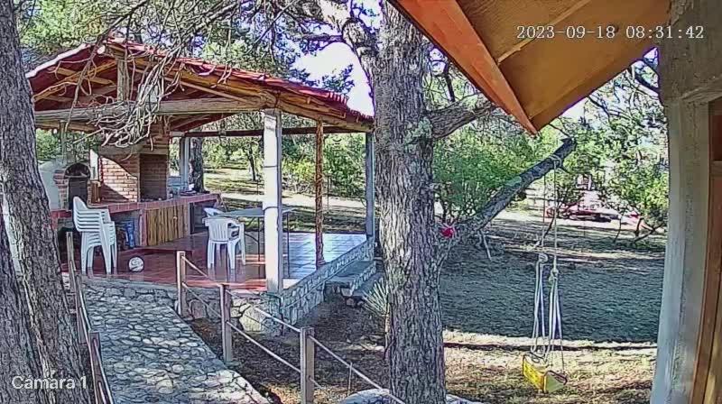 Photo of Others in Saltillo