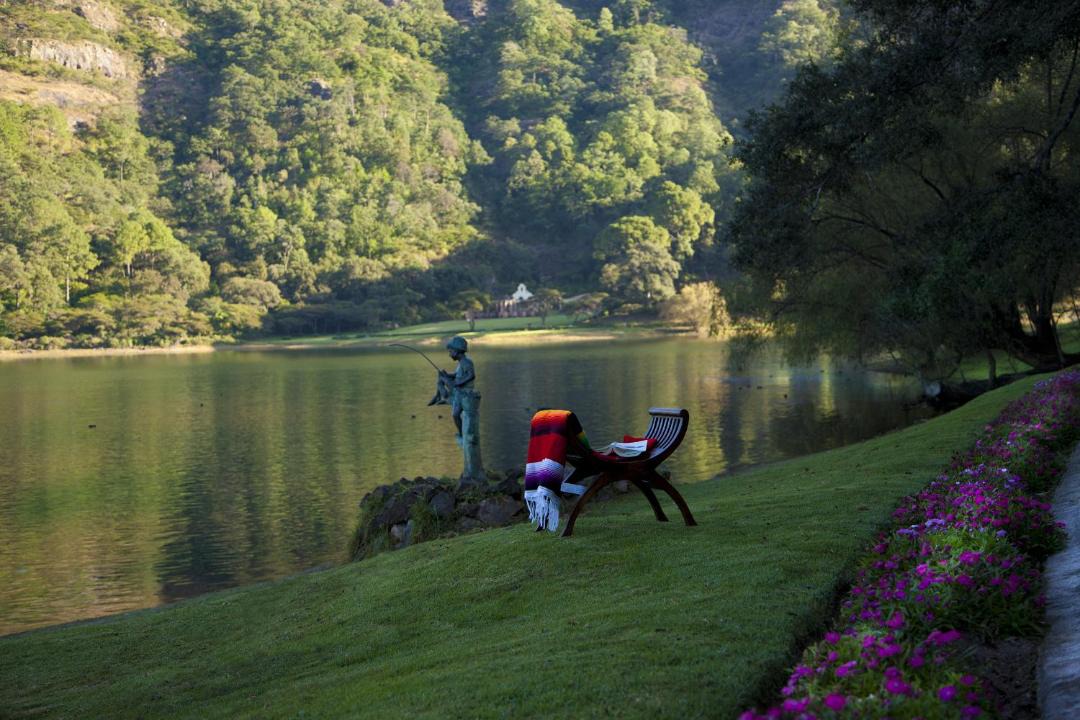 Photo of Others in Mascota