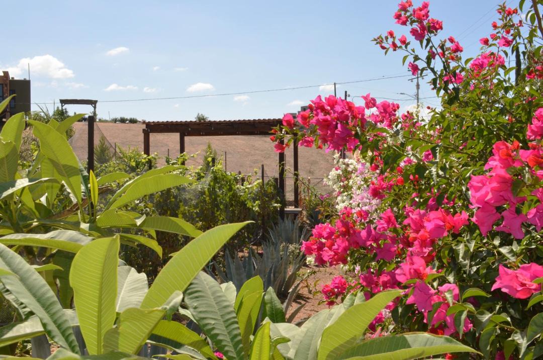 Photo of Others in Valle de Guadalupe