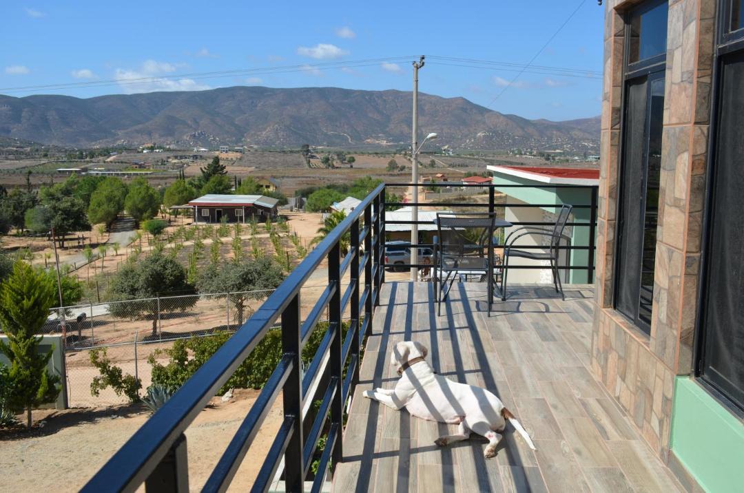 Photo of Others in Valle de Guadalupe