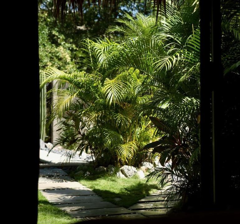 Photo of Others in Troncones