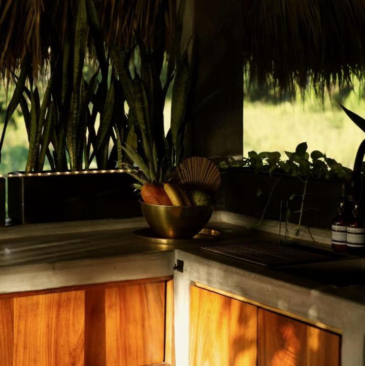 Photo of Others in Troncones