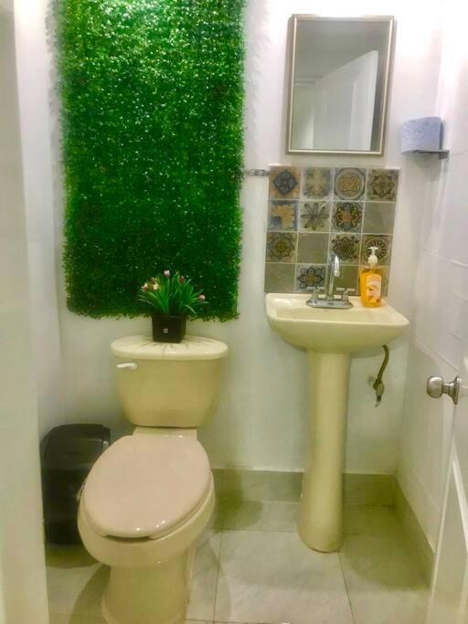 Photo of Bathroom in Matamoros