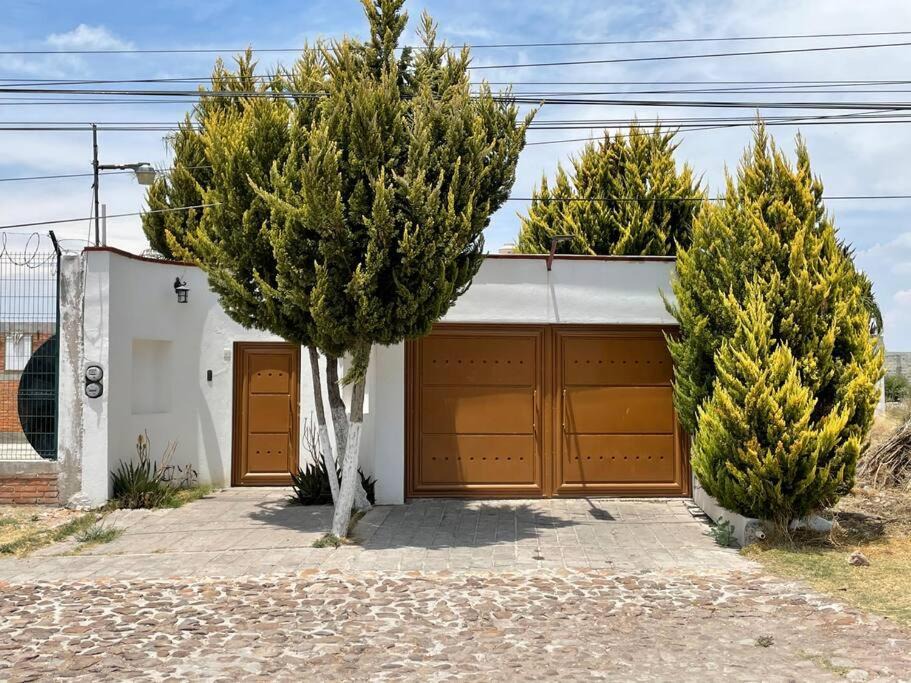 Photo of Buildings in San Miguel de Allende