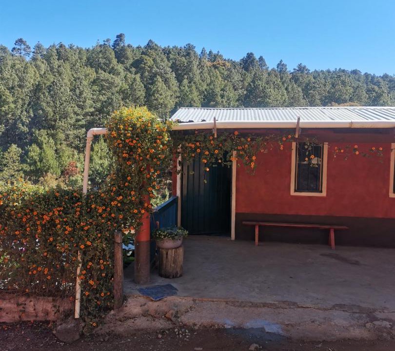 Photo of Others in San Sebastian Rio Hondo