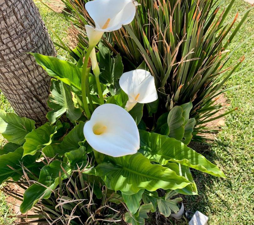 Photo of Outdoor in Rosarito