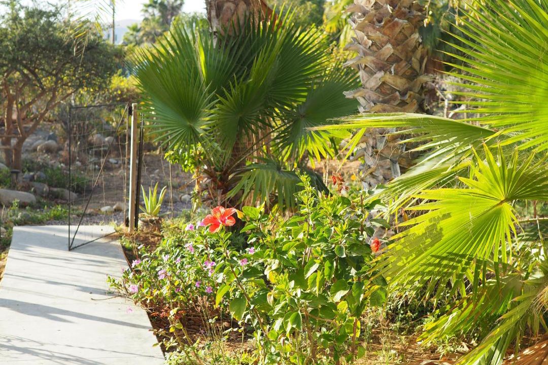 Photo of Outdoor in El Pescadero