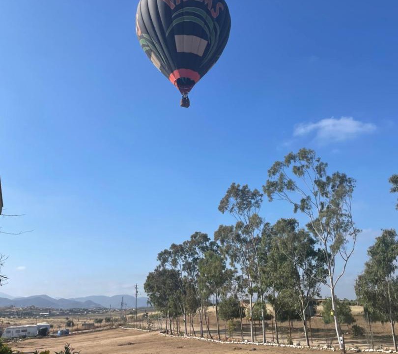 Photo of Others in Valle de Guadalupe