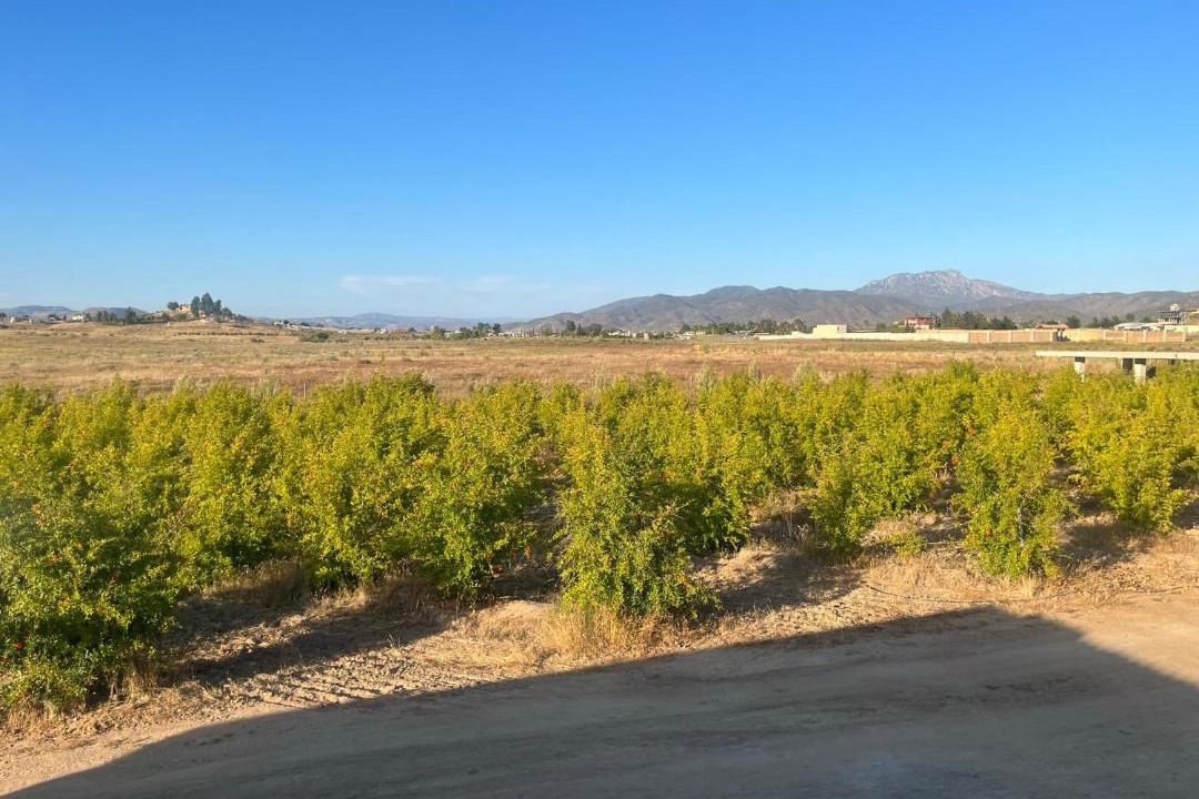 Photo of Others in Valle de Guadalupe