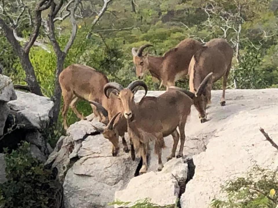 Photo of Others in La Paz